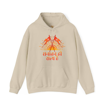 Sanatani Hoodie, Hindu Gods, Sanatan Satya Hai, Sanatan Dharma