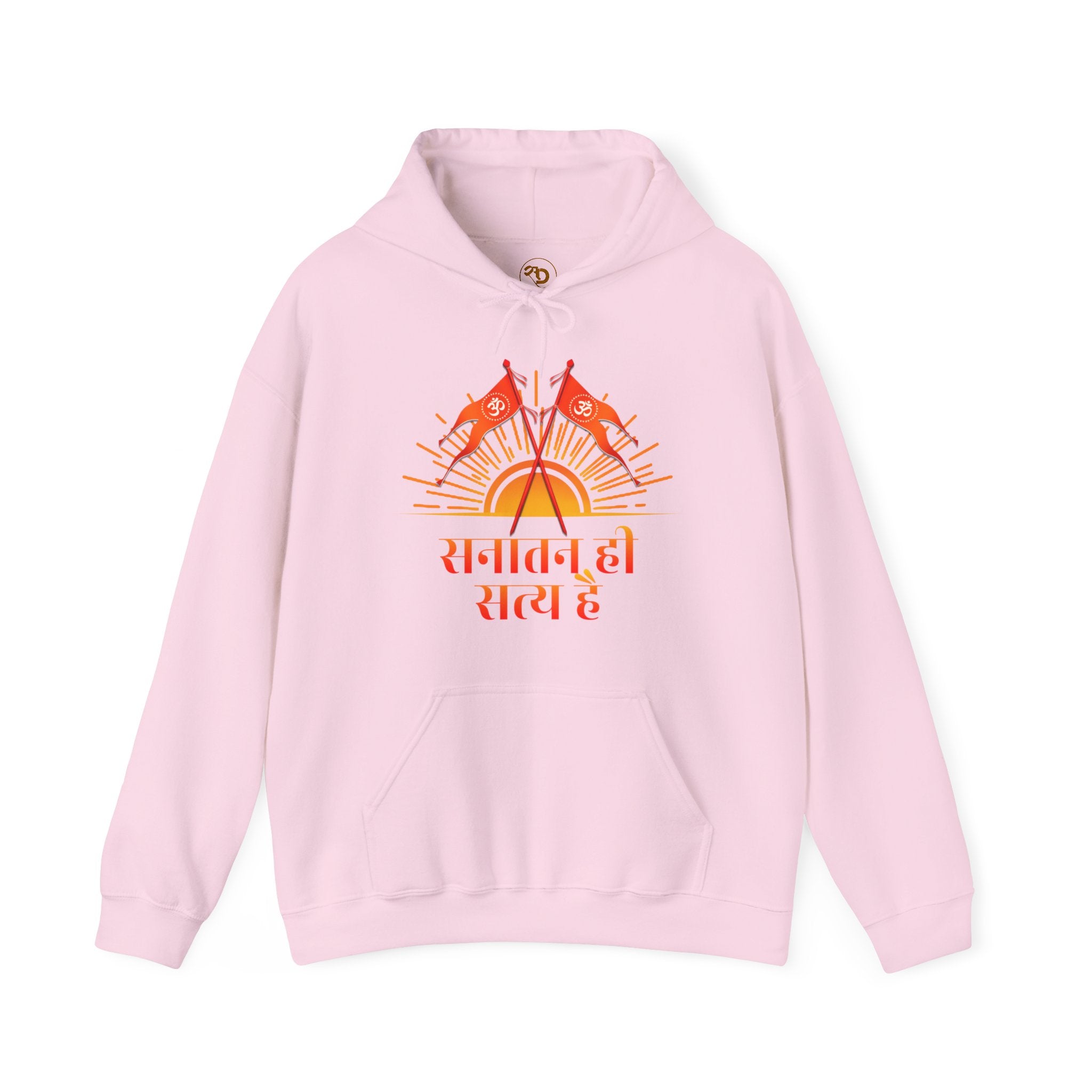 Sanatani Hoodie, Hindu Gods, Sanatan Satya Hai, Sanatan Dharma