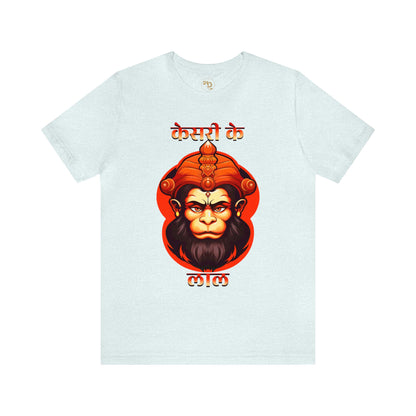 Sanatan Dharma T-shirts, Hindu Gods, Bajrangbali, Hanuman Ji