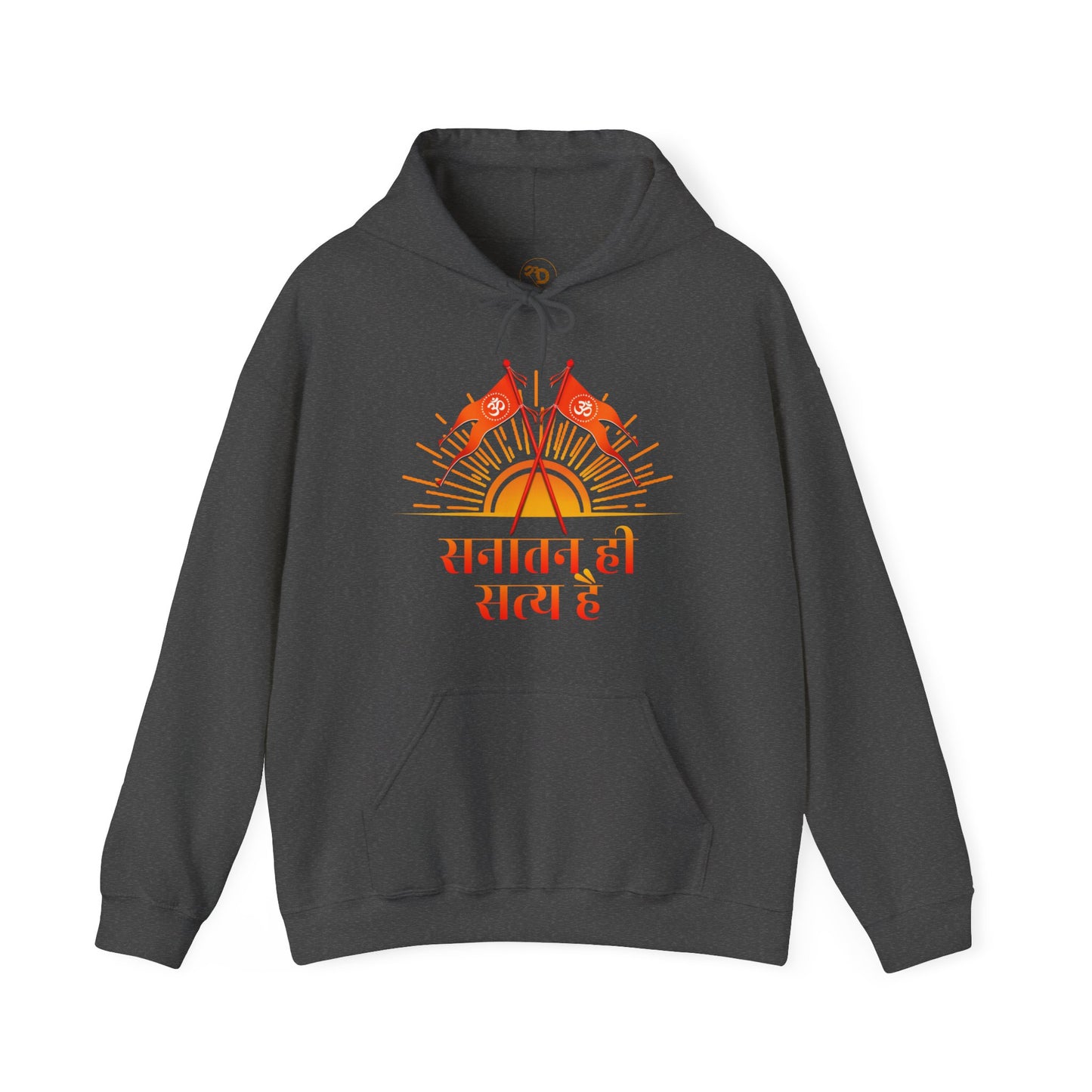 Sanatani Hoodie, Hindu Gods, Sanatan Satya Hai, Sanatan Dharma